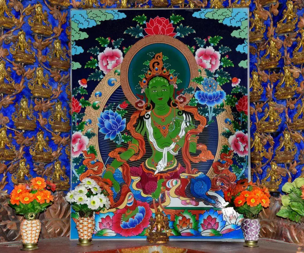 Online: Practică pentru cele 21 de Tara