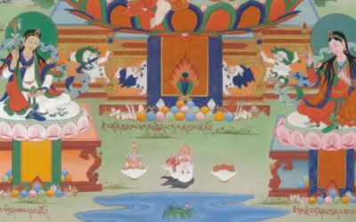 Support for Advanced Female Practitioners