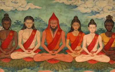 PROGRAM DE SPRIJINIRE A PRACTICANȚILOR AVANSAȚI