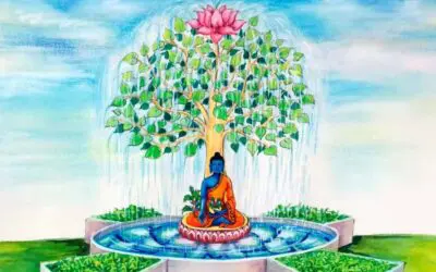 JARDIN BOTANIQUE DU MANDALA DE MEDECINE SUDARSHANA