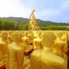1000 Buddha statues