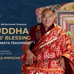 Understand Tantric Samaya: 6 Buddha Families of Kalachakra Blessing
