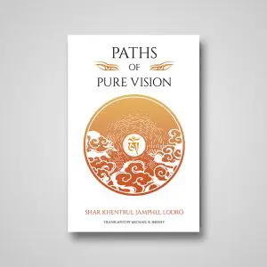 Paths of Pure Vision book