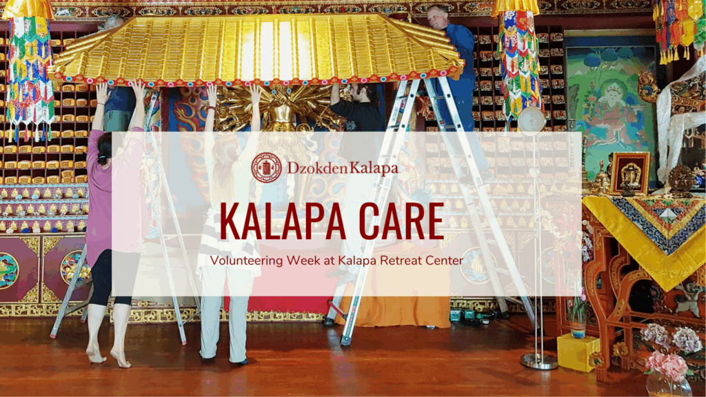 KALAPA CARE — Volunteering Week