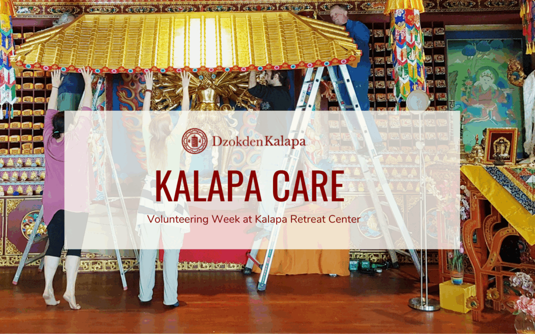 KALAPA CARE — Semaine de bénévolat