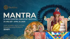 1000 Namgyalma Dharani Mantra Recitation for Khentrul Rinpoche’s Birthday