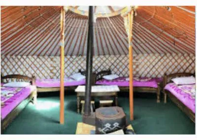The interior of a traditional Mongolian yurt, showcasing sleeping beds arranged along the circular walls, low wooden tables in the center