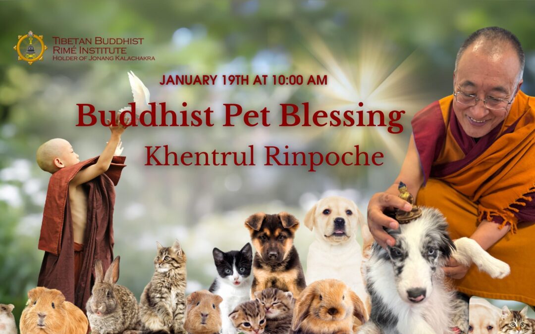 Pet & Animal Blessing with Khentrul Rinpoche