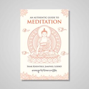 English Language Book Cover of Authentic Guide to Meditation Book by Khentrul Rinpoche
