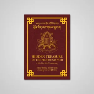 Hidden Treasure of the Profound Path